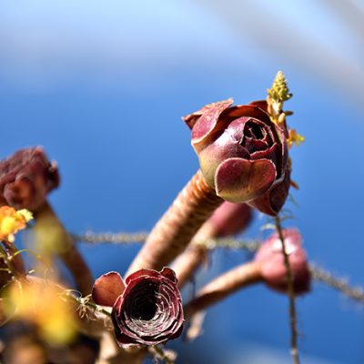 DSC_5574