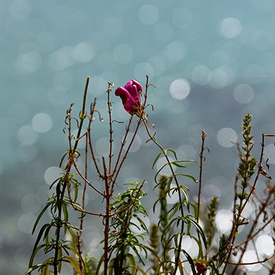 DSC_6062